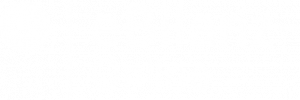 eBilanz-Online
